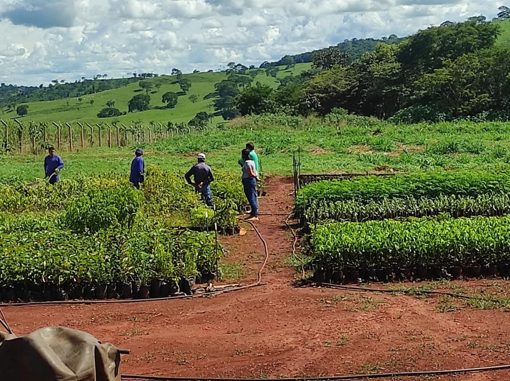 Aprosoja-MT realiza em abril Seminário Carbono na Agricultura