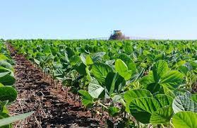 Aprosoja-MT realiza Seminário Carbono na Agricultura nesta terça-feira (05)