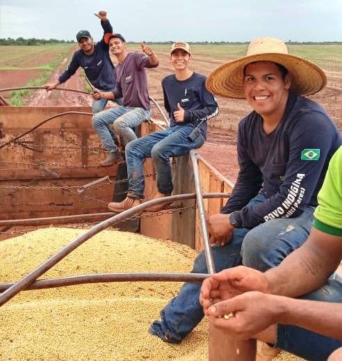 Soja convencional é cultivada por indígenas do Chapadão do Parecis, em Mato Grosso