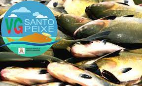 Secretaria de Meio Ambiente lança projeto “VG Santo Peixe”