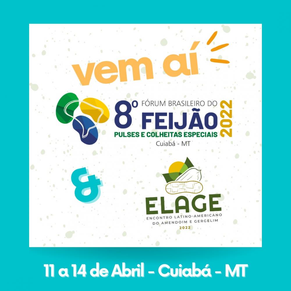 8º Fórum Brasileiro do Feijão começa nesta segunda-feira (11) em Cuiabá
