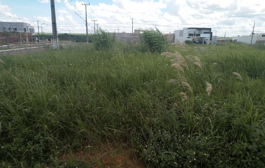 Prefeitura intensifica fiscalização em terrenos baldios de Primavera do Leste