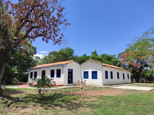 Museu de História Natural passa a ter entrada gratuita aos domingos