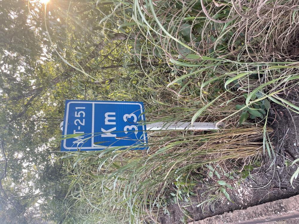 Quatro pessoas morrem em acidente na estrada de Chapada dos Guimarães 