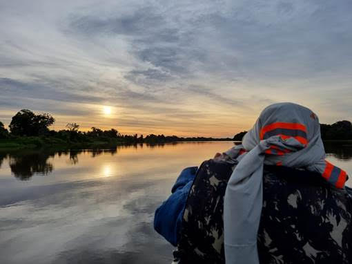 Energisa substitui gerador à diesel por placas solares em Parque Nacional do Pantanal