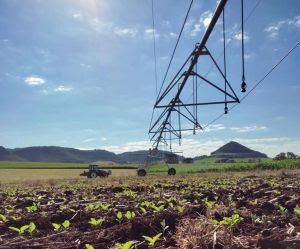 Evento discutirá o avanço da agricultura irrigada no Centro-Oeste
