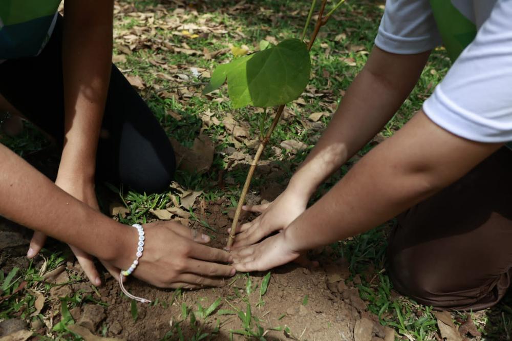 Sesc Pantanal realiza ecoblitz com distribuição de árvores nativas nesta quinta, em Poconé
