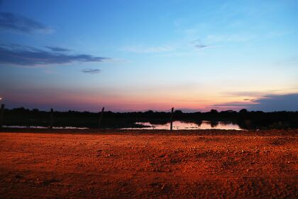 Audiência pública debate impactos de projeto que afrouxa proteção do Pantanal