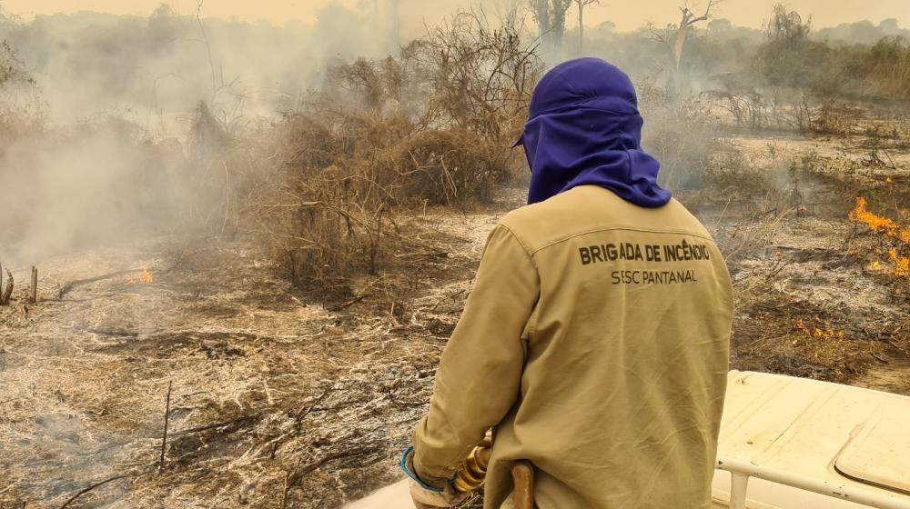 Sesc Pantanal prorroga inscrições para brigada de prevenção e controle a incêndios com salários de até R$ 4,4 mil