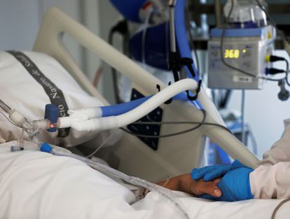 Primavera registra duas mortes por Covid no final de semana