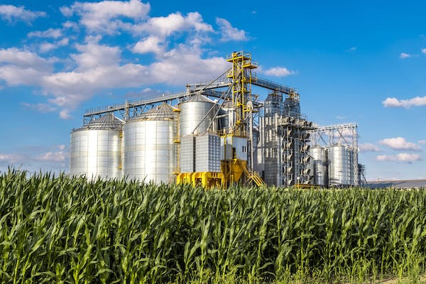 Agroindústria: desenvolvimento com qualificação profissional