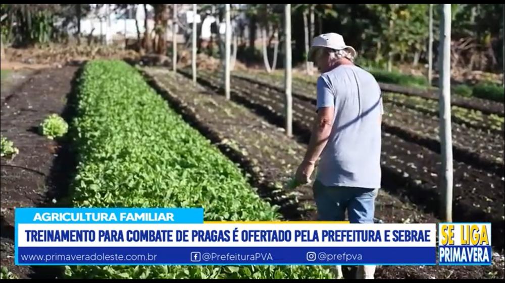 Treinamento para combate de pragas é ofertado pela Prefeitura de Primavera do Leste