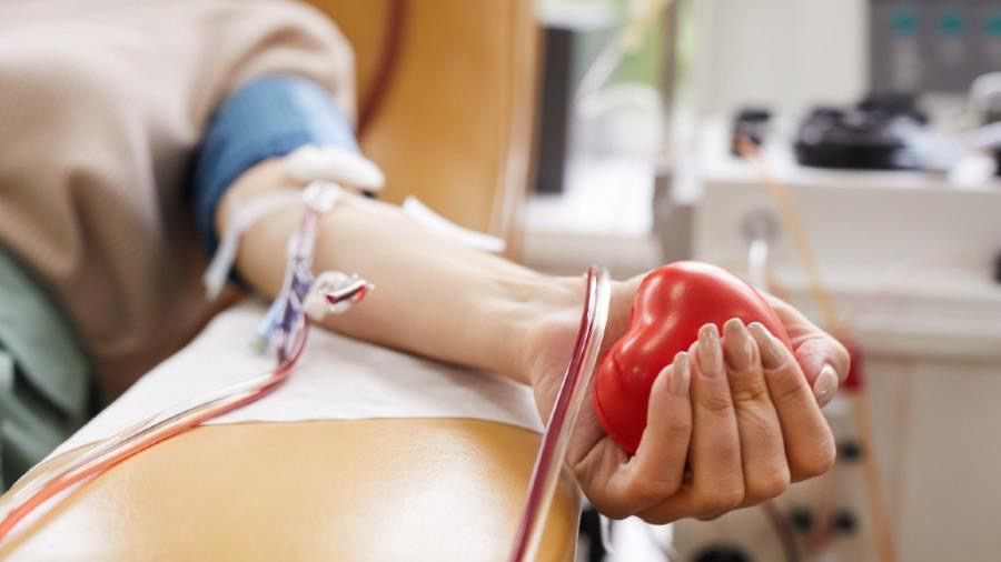 Primavera do Leste fará campanha de doação de sangue neste sábado (10)