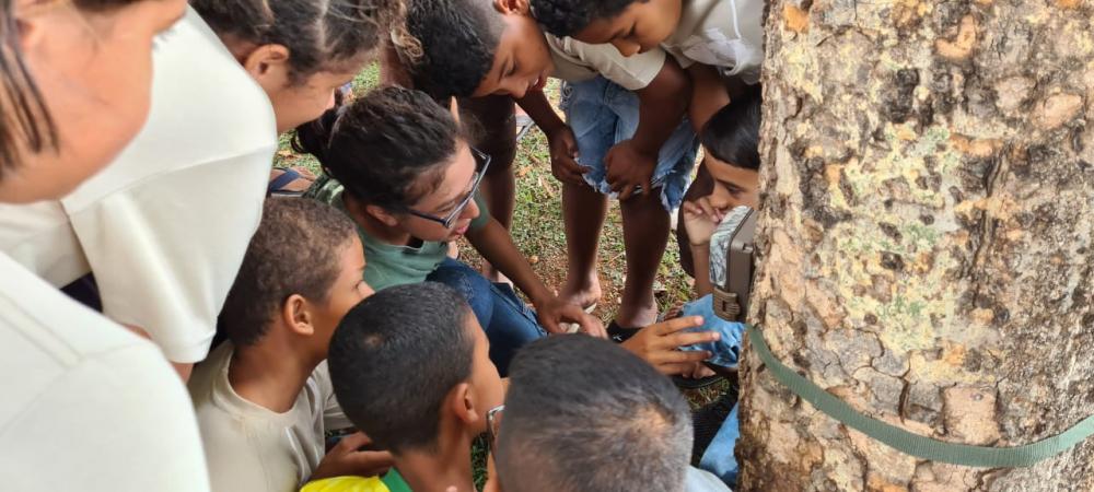 Sesc Pantanal promove discussões sobre onça-pintada entre pesquisadores, comunidades pantaneiras, monitores ambientais e turistas