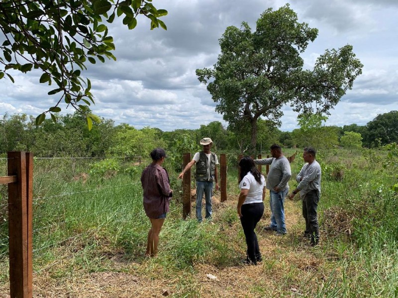 Sema promove recuperação de nascente e plantio de espécies nativas na comunidade Baía do Campo