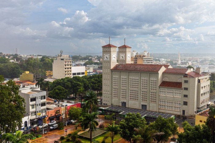 Secretaria apresenta mapeamento para remoção de árvores que apresentam risco de queda e posterior replantio