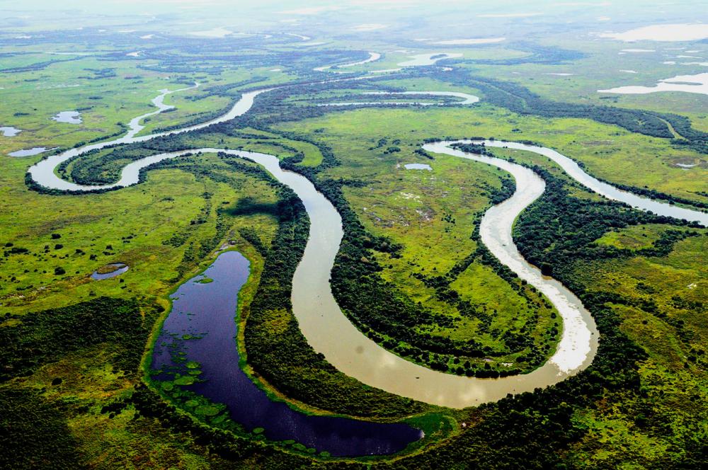  Exposição 'Pantanal Mato Grosso' estreia nesta quarta no Salão das Águas em Primavera do Leste