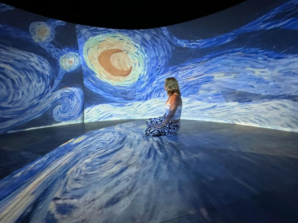 Exposição ‘Paisagens de Van Gogh’ vai até 30 de dezembro com ingressos a R$ 15 