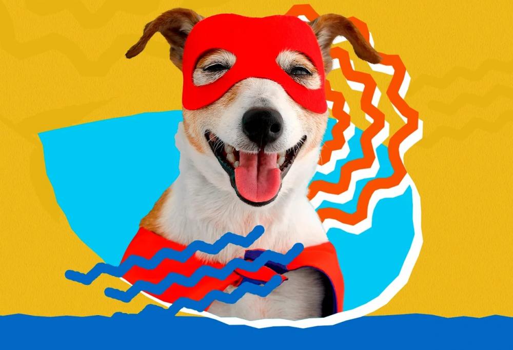 Tem Carna Pet neste fim de semana!