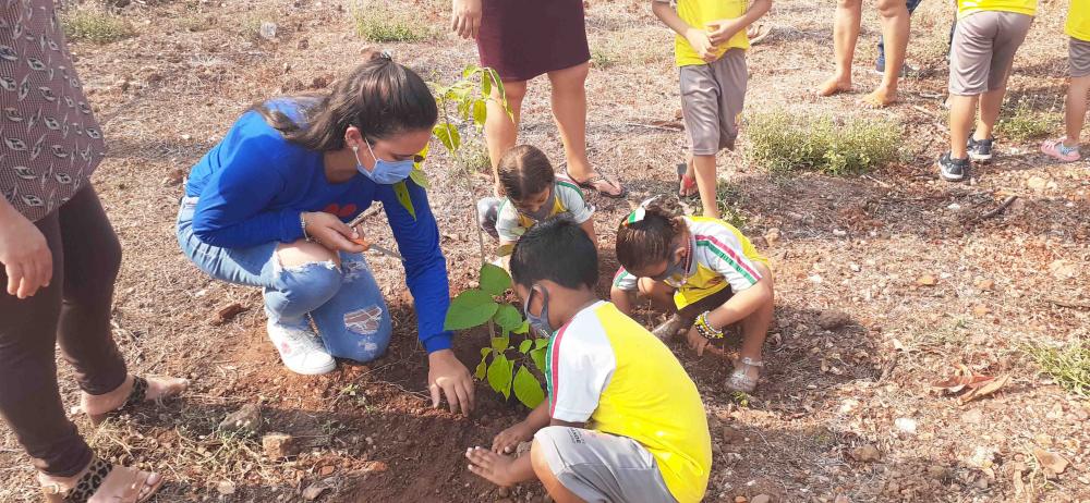 Alunos plantam mudas na escola em comemoração ao Dia da Árvore