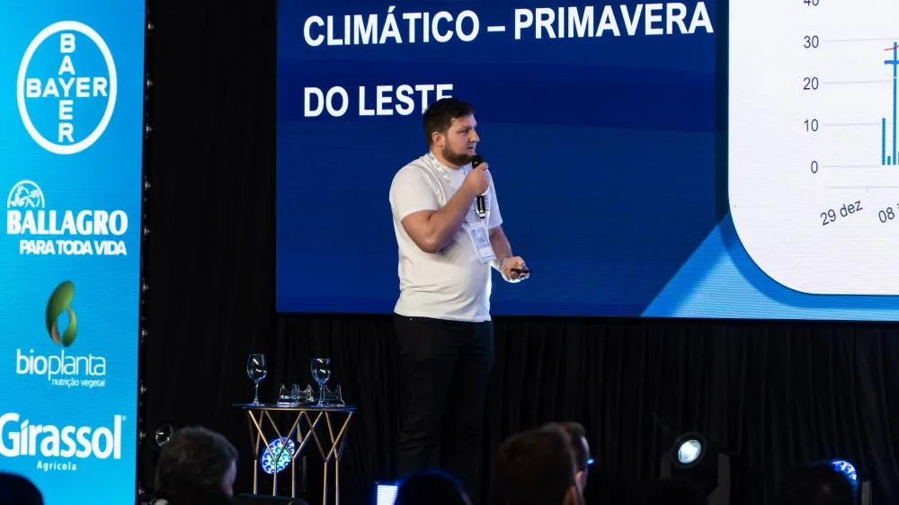 Manejo correto e escolha de boas cultivares são essenciais para evitar abortamento no algodoeiro, diz pesquisador