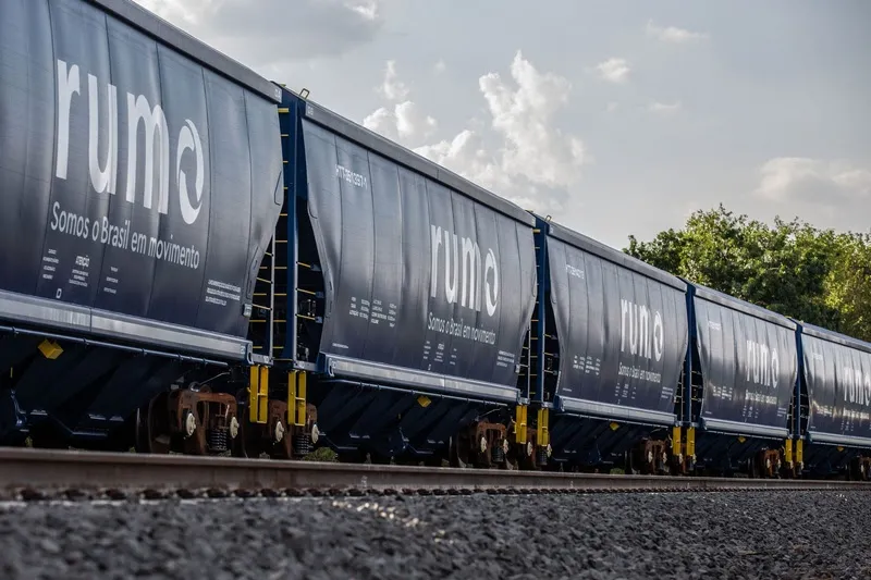 Ferrovia em Mato Grosso impulsiona restauração de 212 hectares no Alto Araguaia
