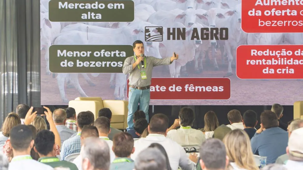 Próximos anos devem ser de preços melhores e pecuarista precisa planejar a longo prazo, afirma consultor