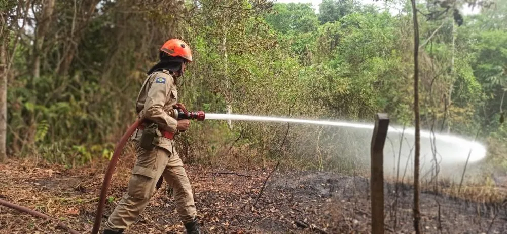 Bombeiros contêm incêndio florestal em Primavera do Leste e protegem área de preservação
