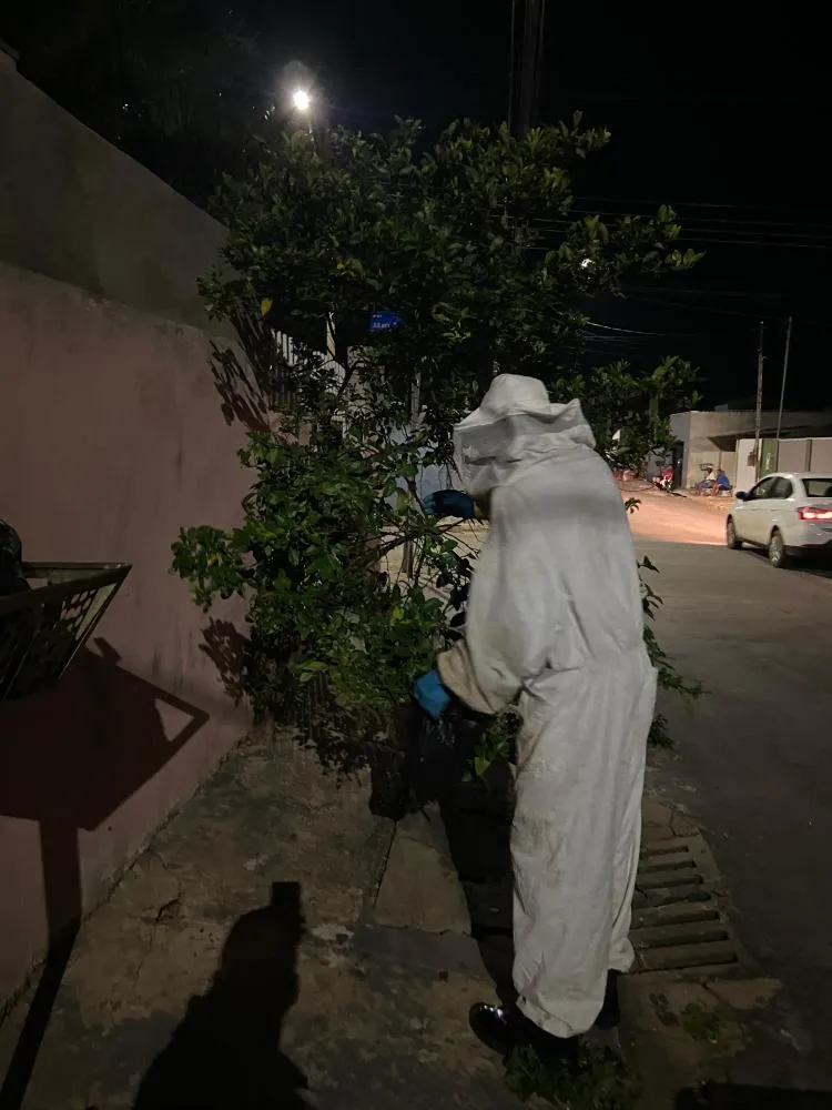 Ataque de abelhas causa pânico em bairro de Primavera do Leste – Bombeiros entram em ação!