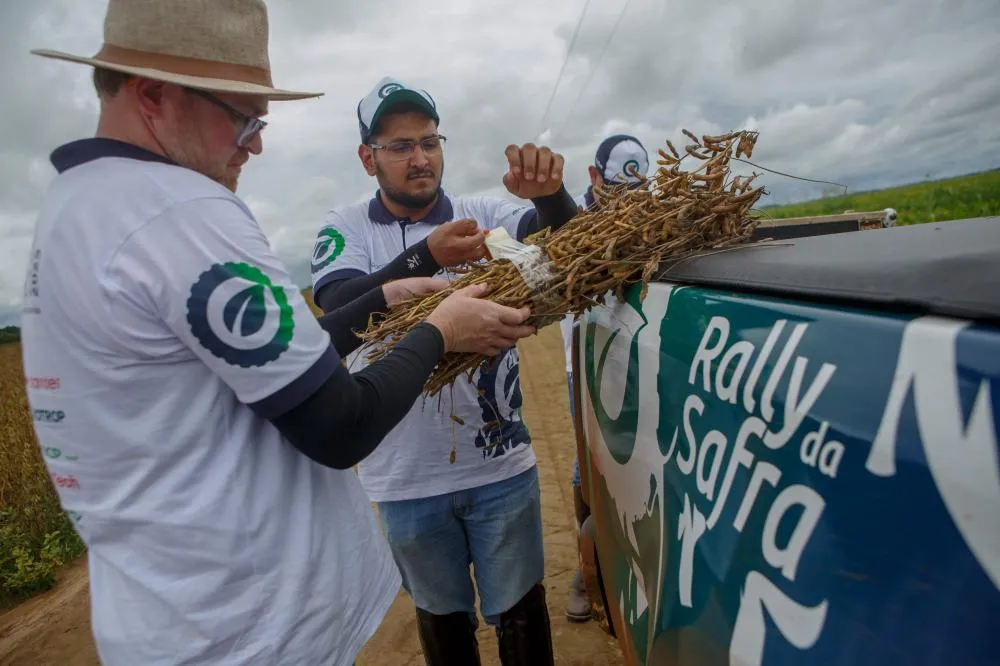 Rally da Safra retorna a Mato Grosso para avaliar lavouras médias e tardias