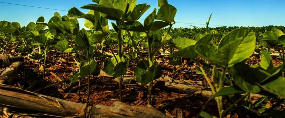Projeto de lei promete mudar a forma de produzir em Mato Grosso – entenda a proposta