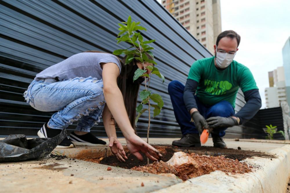 Mais uma área de Cuiabá recebe árvores do Projeto Verde Novo