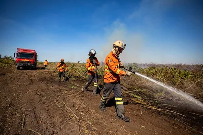 Mato Grosso sedia Congresso Internacional de Gestão de Incêndios Florestais