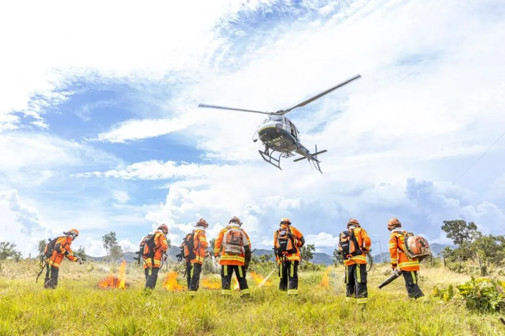 ForestFire apresenta programação com especialistas de 10 países e feira gratuita de tecnologias