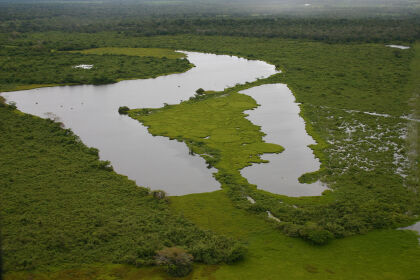 Conferência vai debater Estatuto do Bioma Pantanal