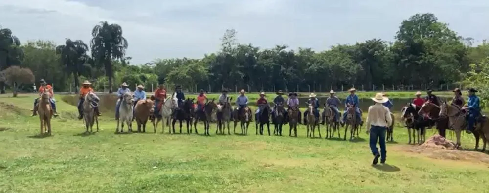1ª Cavalgada do Sindicato Rural de Marcelândia reúne mais de 300 pessoas e 96 animais