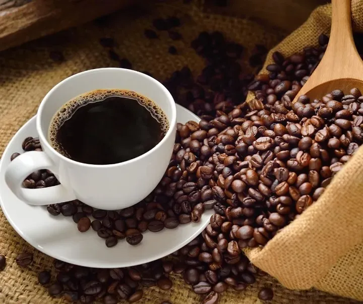Dia Internacional do Café: celebrando a diversidade, qualidade e paixão pelo café