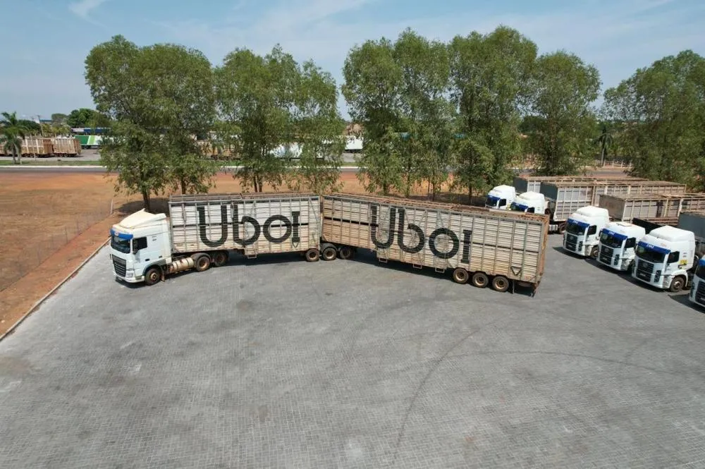 EconomiaUboi, da JBS, ultrapassa 5 milhões de cabeças de gado transportadas no Brasil