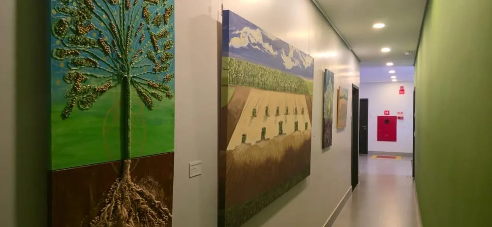 Concurso Arte Raiz premia talentos da arte manual brasileira e destaca o simbolismo do milho