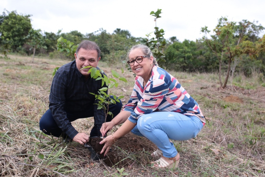 400 mudas de espécies nativas são plantadas para relembrar as vítimas da pandemia em Primavera do Leste