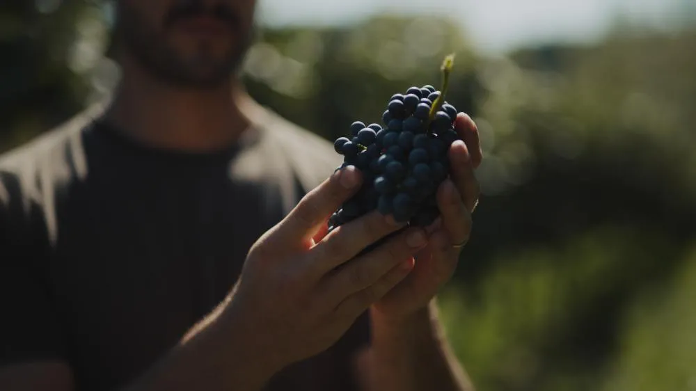 Vinuta investe em estrutura própria e aposta em conceito de atelier para se diferenciar no mercado