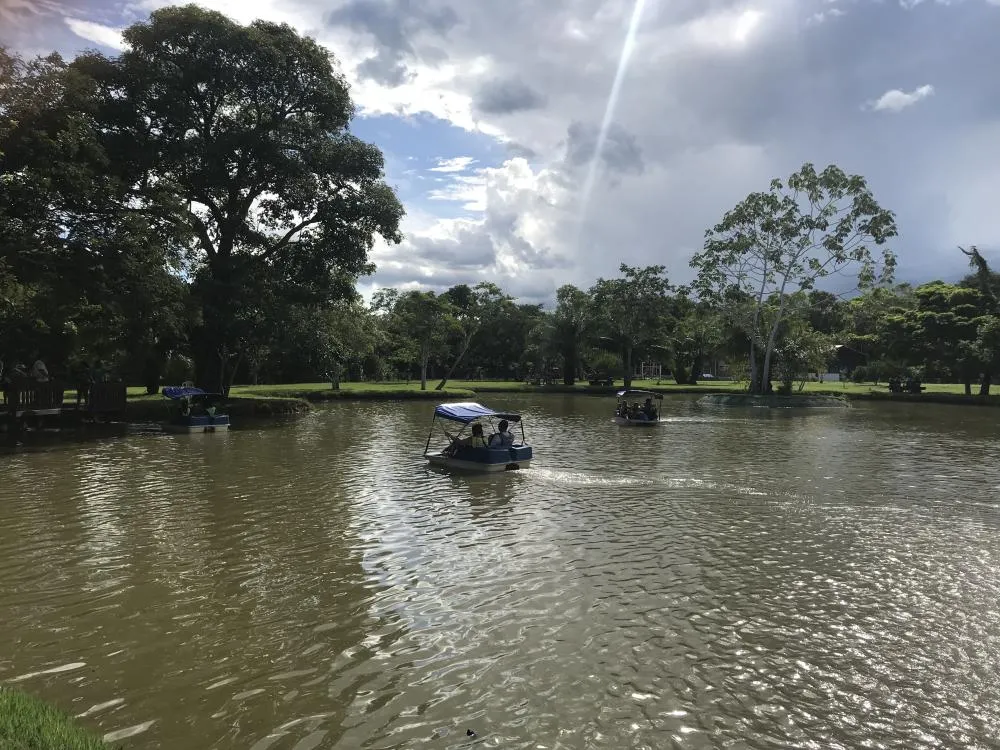 Domingo no Parque terá atividade especial de educação ambiental além de passeios gratuitos