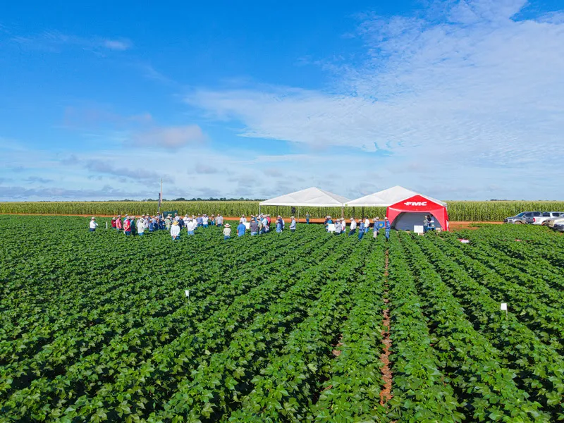 Mato Grosso entra na rota do Tour Gigantes do Algodão e vira vitrine do agro em 2026