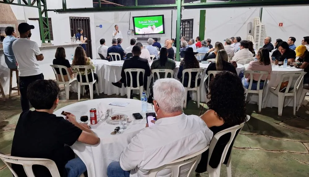 Leilão Nelore Mato Grosso é lançado e destaca a força da genética no maior rebanho bovino do Brasil