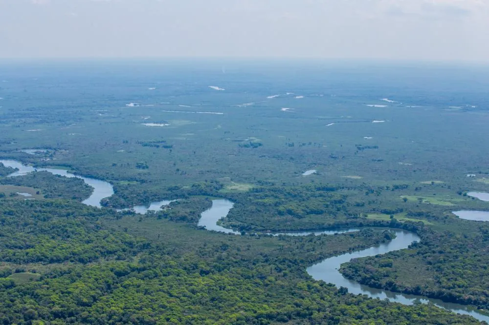 Maior reserva privada do Brasil completa 29 anos como referência em conservação, pesquisa e desenvolvimento sustentável no Pantanal 