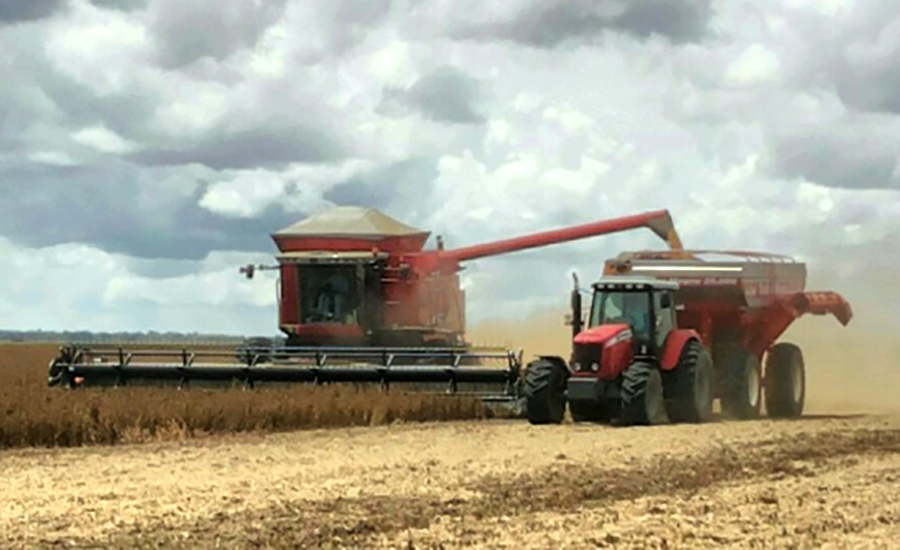 Primavera do Leste aparece em ranking dos municípios agro mais ricos do Brasil