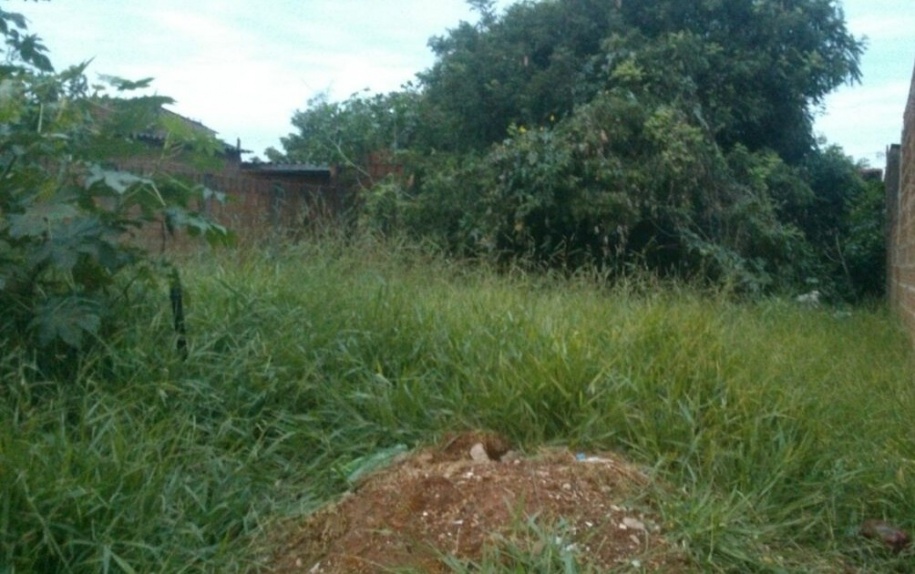 Jogar lixo em terreno baldio pode gerar multa de R$ 400 a R$1.200 em Primavera do Leste