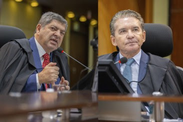 Conselheiros Sérgio Ricardo e Guilherme Maluf são designados supervisores de meio ambiente e saúde