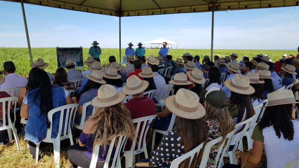 Rondonópolis recebe o IV Encontro Mato-grossense de Integração Lavoura-Pecuária 