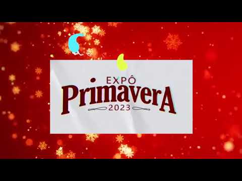 Natal Encantado de Mesa Cheia: Transforme a sua generosidade em alegria!